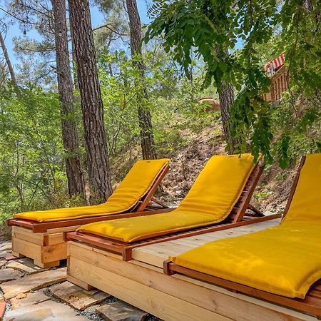Semiramis Boutique Hotel & Spa Kato Platres Екстериор снимка